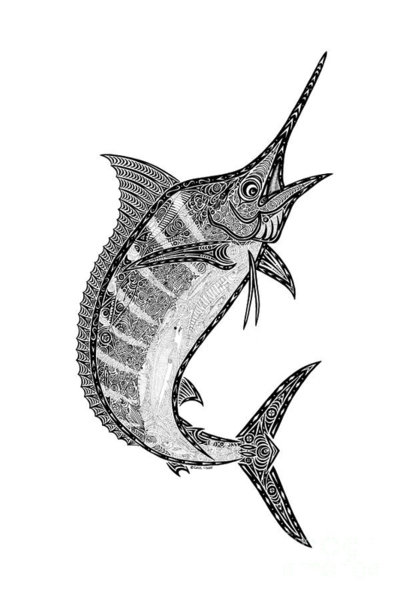 406x600 Blue Marlin Drawings Fine Art America