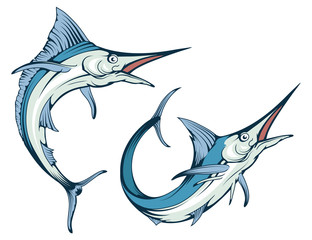 312x240 blue marlin fish vector drawing, marlin fish drawing sketch