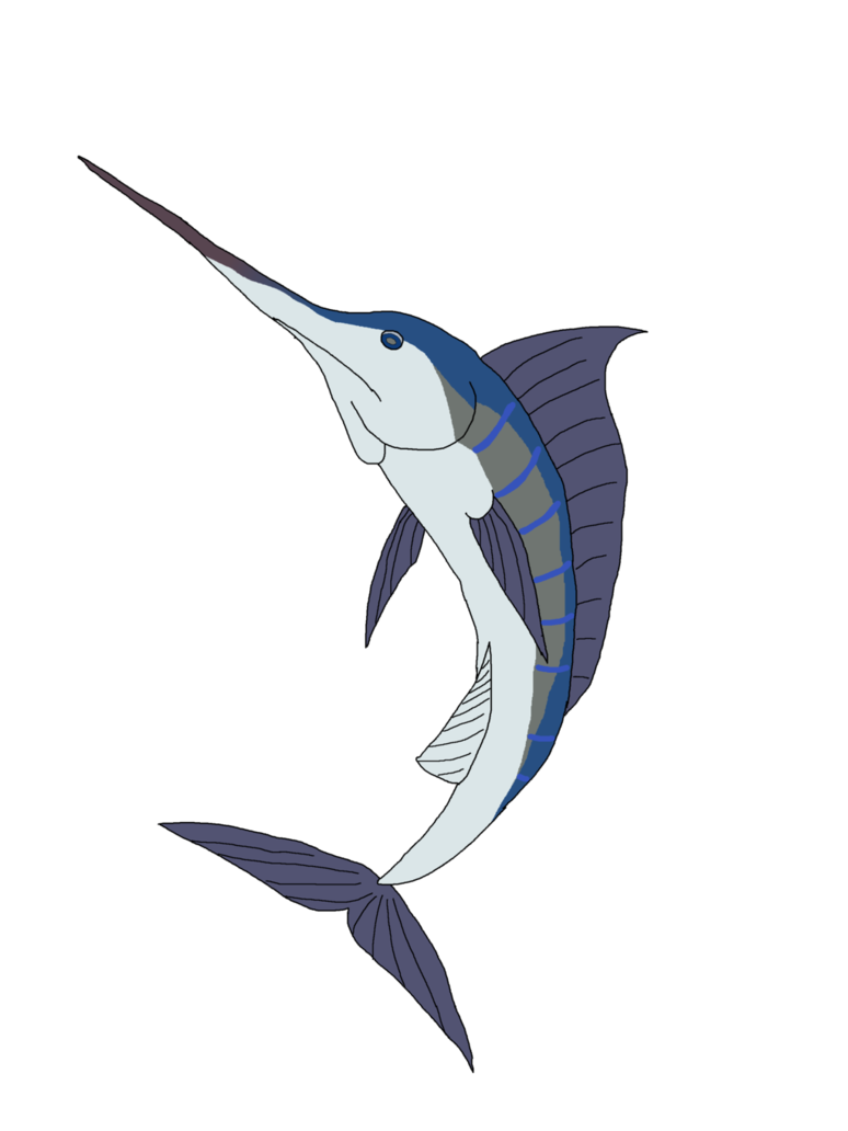 774x1032 Collection Of Free Swordfish Drawing Blue Marlin Download On Ui Ex