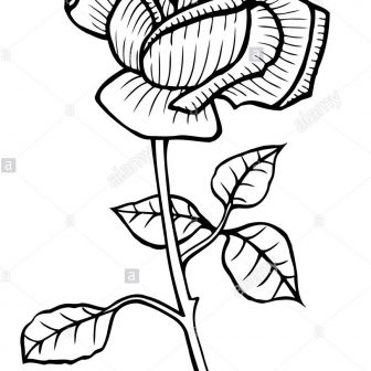 336x336 Boutique Wedding Invitation Wording After Already Married Couple