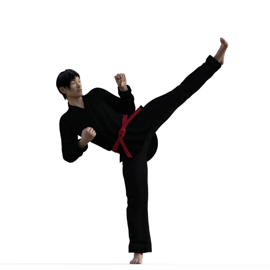 900x900 figure drawing pose ofmale, martial art, action, kicking, standing