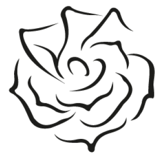 330x312 Mary Kay Marketing