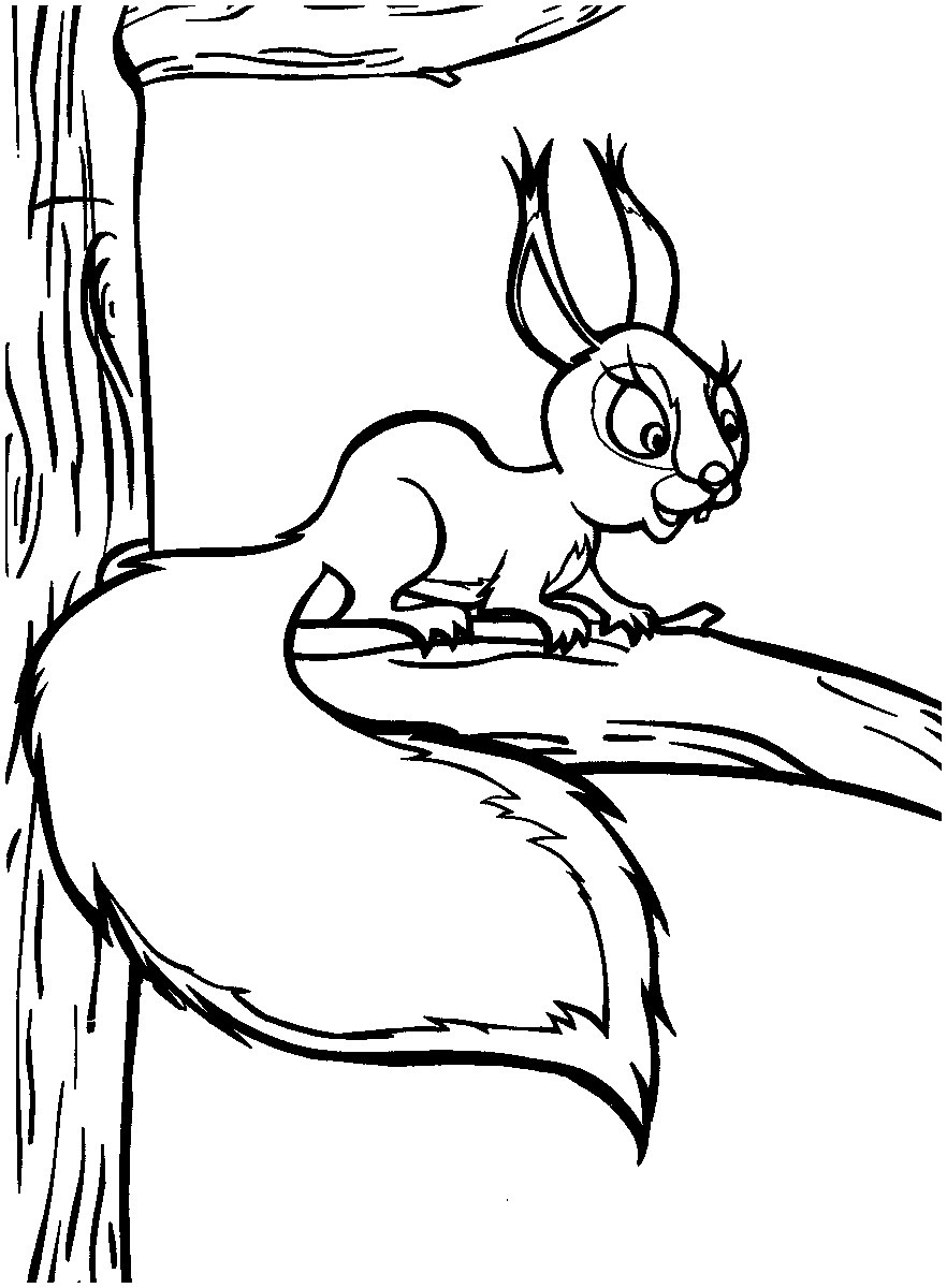 882x1200 Bear Coloring