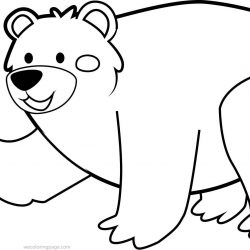 250x250 Bear Face Mask Drawing Easy Step