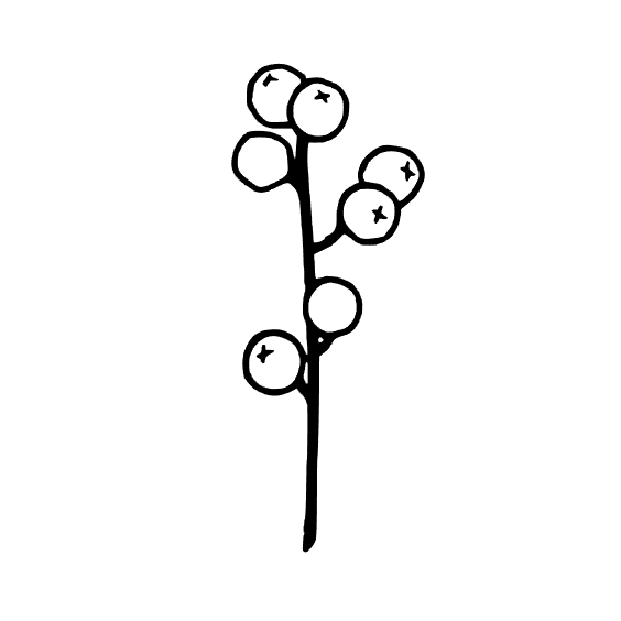 564x564 botanical quartet line art mason jar tumblers