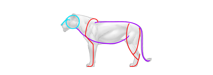 850x301 How To Use Gestures To Draw Creatures From Imagination