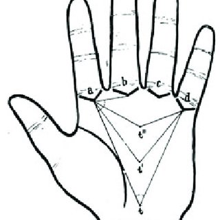 320x320 pdf role of dentist in identification in mass disaster