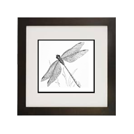 266x266 Lessons In Ink Dragonfly