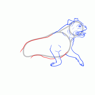 302x302 draw a mastiff, bullmastiff dog, step