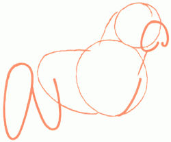 250x207 Exam Guide Online