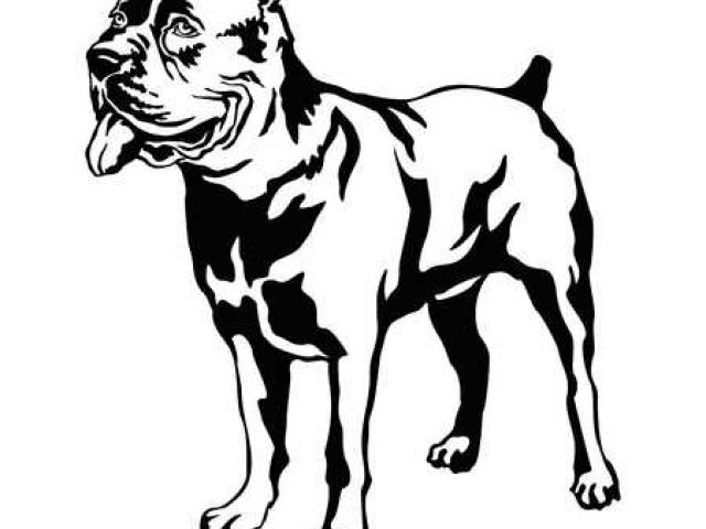 640x480 free mastiff clipart, download free clip art