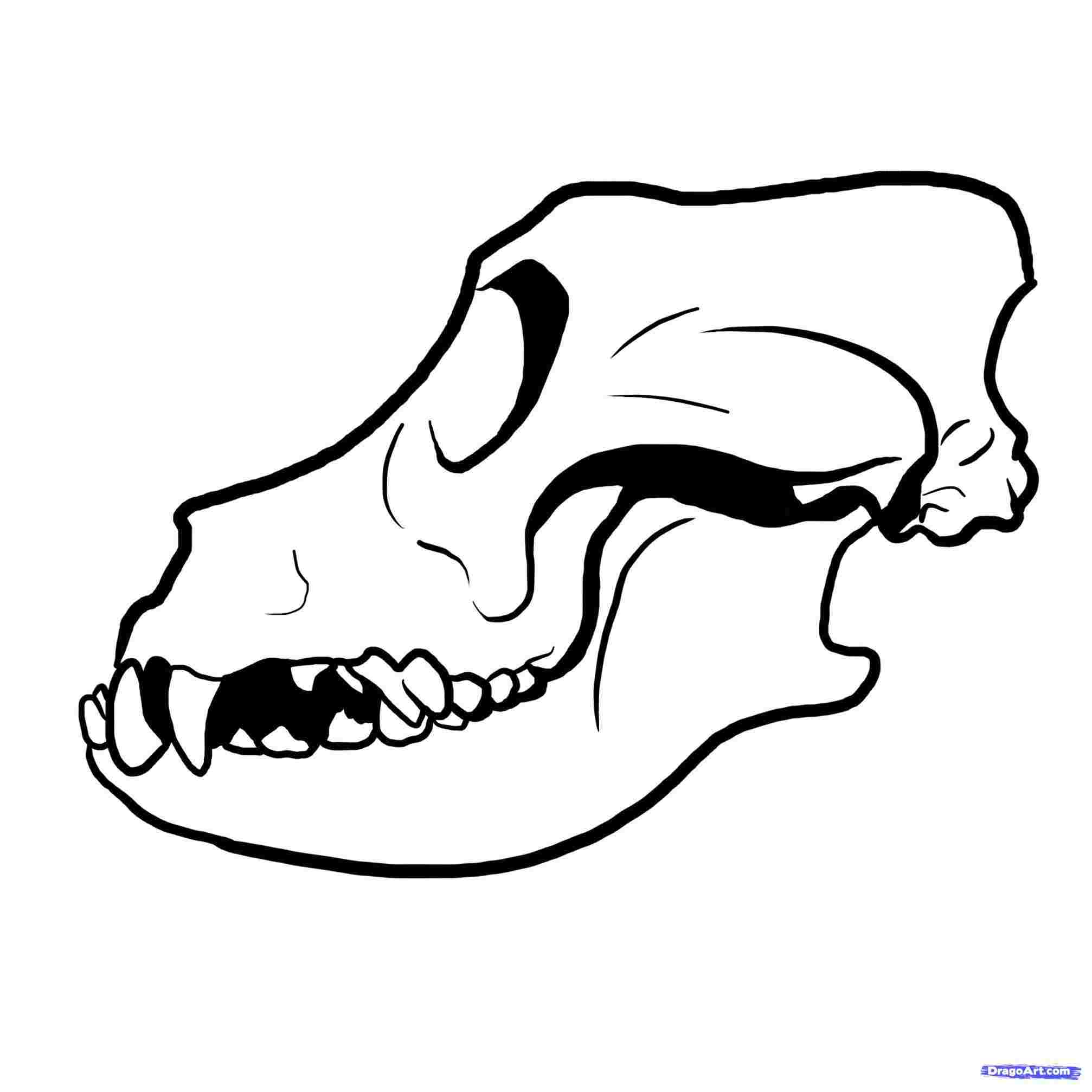 2014x2014 mastiff bullmastiff dogrhdragoartcom step dog head drawing easy