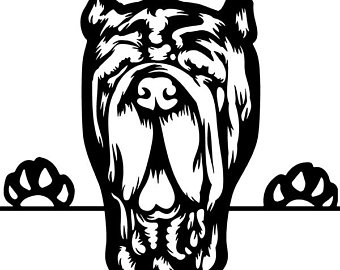 340x270 mastiff drawing etsy