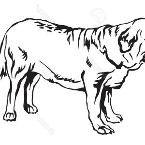 300x300 Photostock Vector Decorative Contour Portrait Of Standing