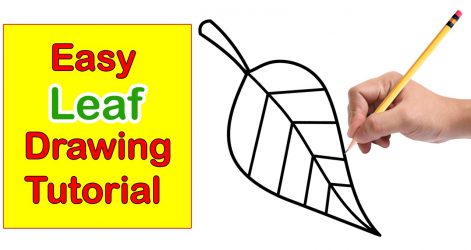 471x250 Leaf Branch Drawing Clipart Animal Background Easy Template