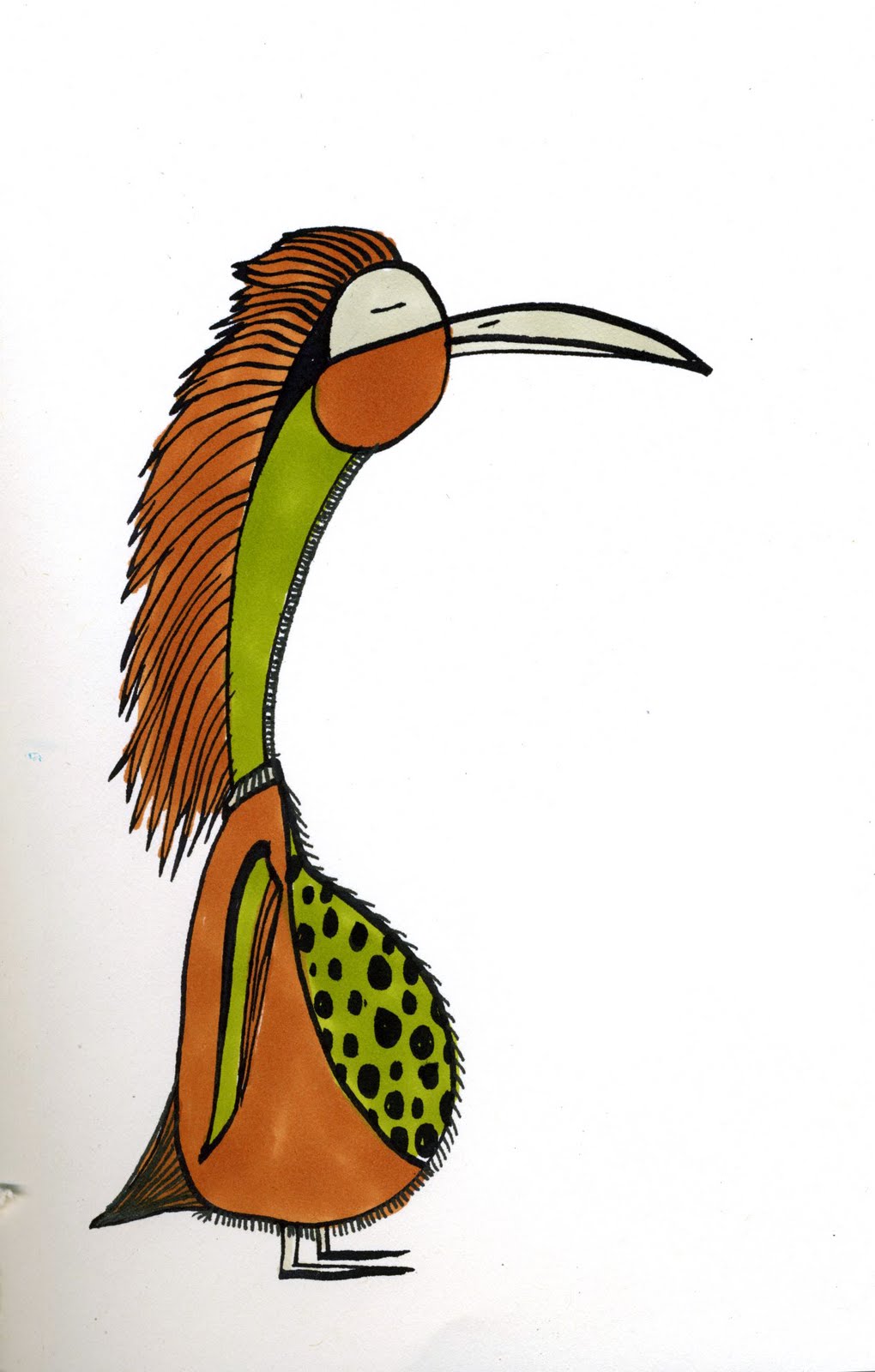 1020x1600 bird drawings margo yacheshyn