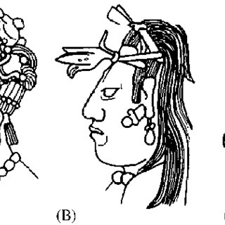 320x320 two dimensional facial drawing in relaxed pose
