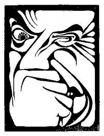 366x480 flor de pascua