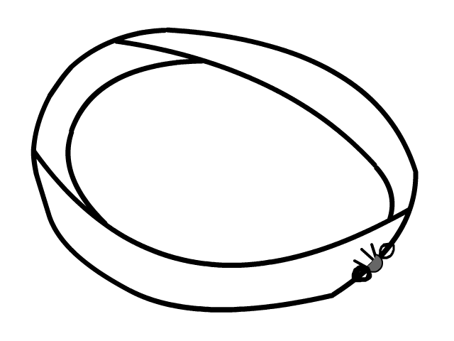 640x480 Made Of Tiny Stories Mc Escher Inspired Mobius Strip Ant For My