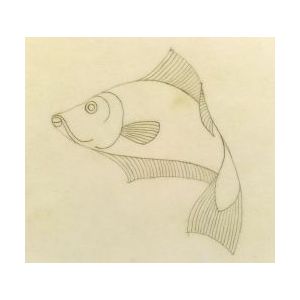 300x300 Maurits Cornelis Escher