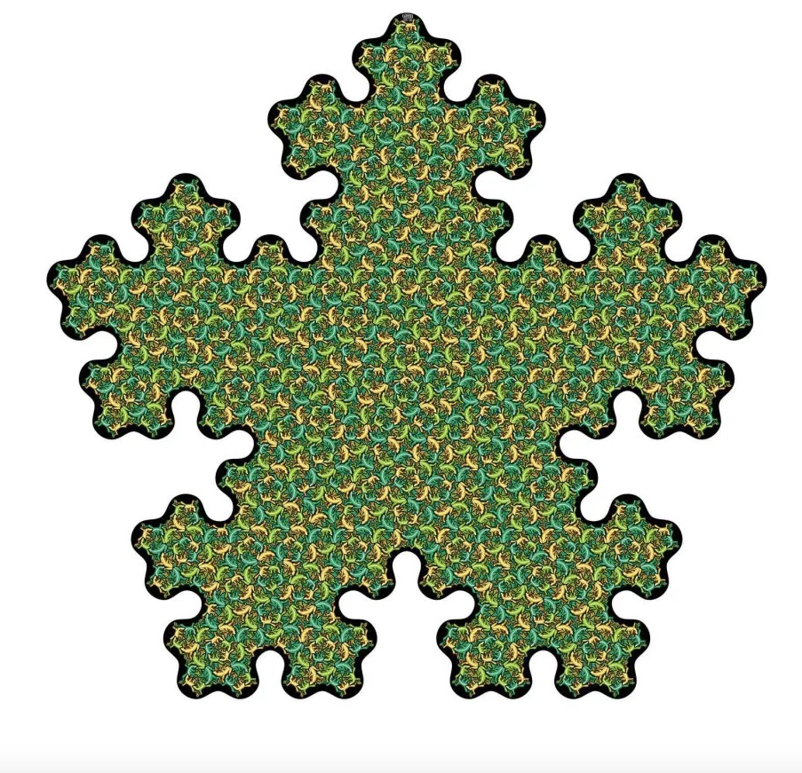 903x871 M C Escher And Richard Hassell My Art Guides