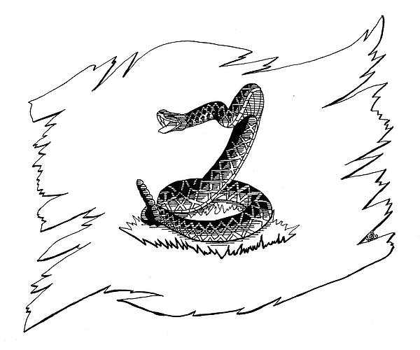 600x500 don't tread on me drawing