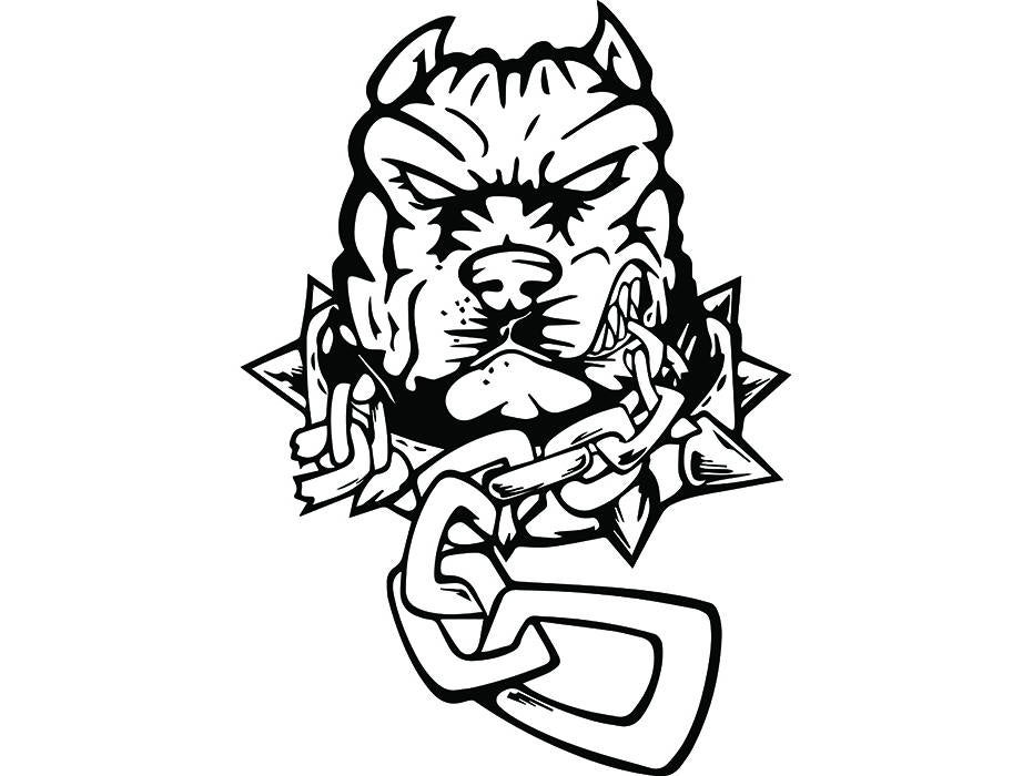 931x700 American Pit Bull Terrier Dog Breed K Puppy Mean Spiked Etsy