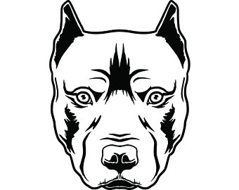 340x270 Bull Terrier Etsy