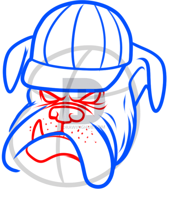 575x720 How To Draw The Georgia Bulldogs, Step