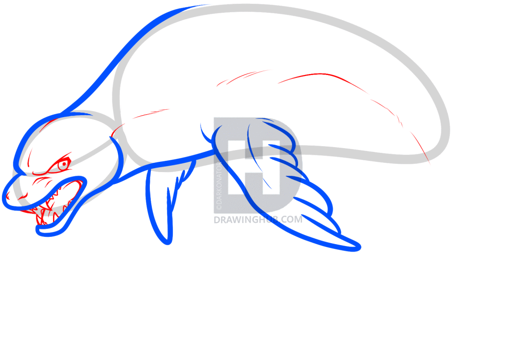 1061x720 How To Draw A Leopard Seal, Step