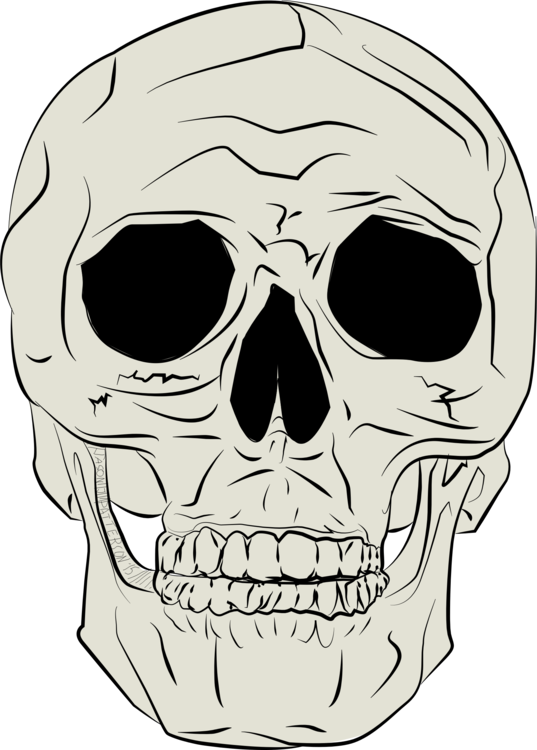 537x750 Skull Horror Transparent Png Clipart Free Download
