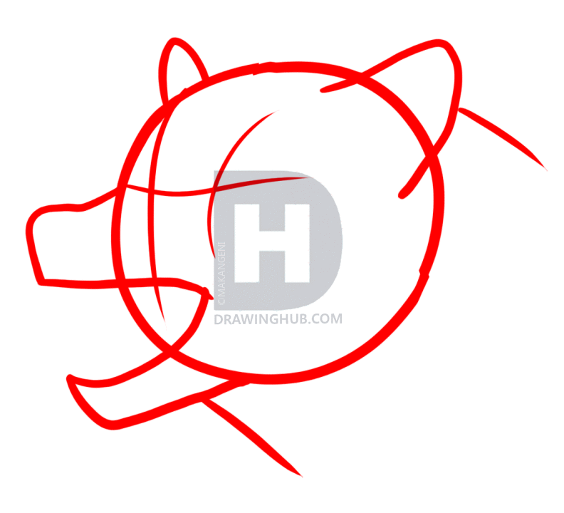 792x720 How To Draw An Angry Wolf, Step