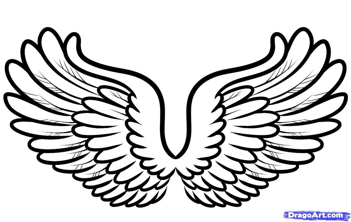 1231x782 Drawn Wings Meaningful