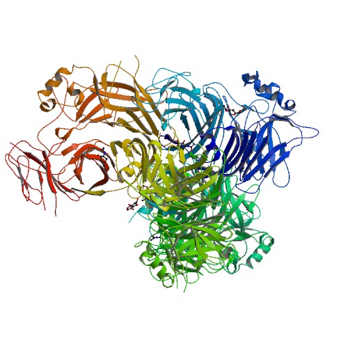 500x500 rcsb pdb