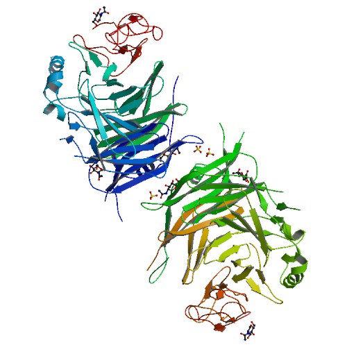500x500 rcsb pdb