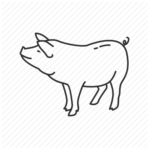 512x512 Pork Drawing Chicken Meat Transparent Png Clipart Free Download