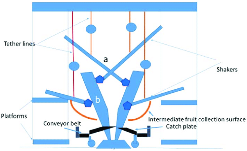 850x518 A Drawing Of The Proposed Mobile, Semi Mechanical Blueberry