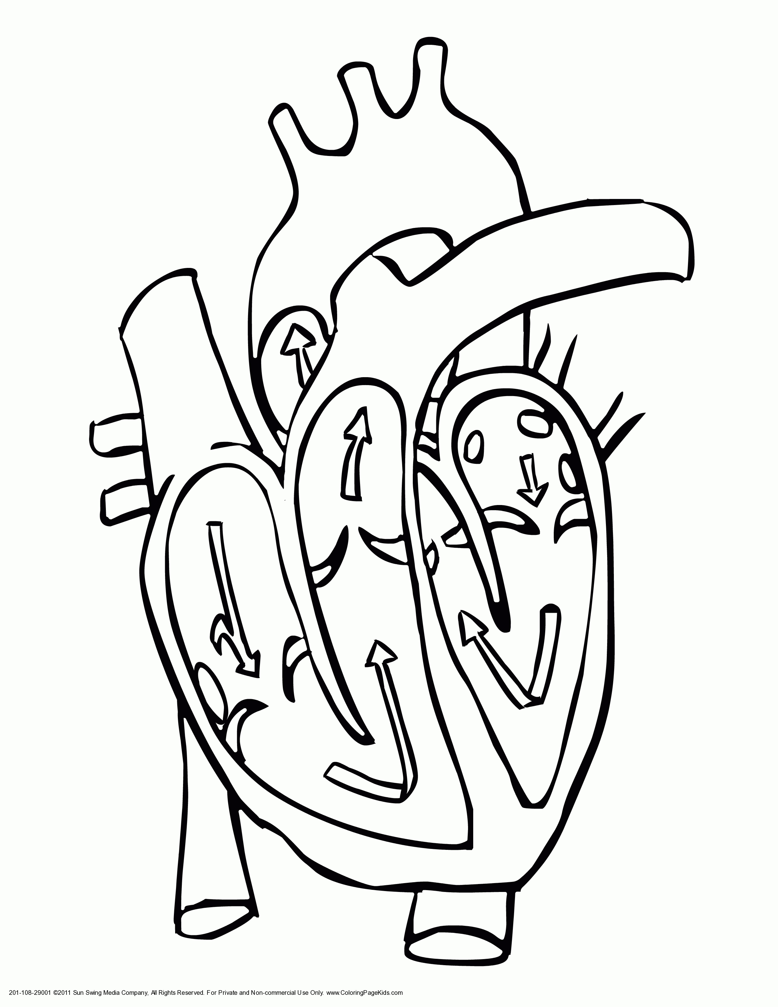 Mechanical Heart Drawing