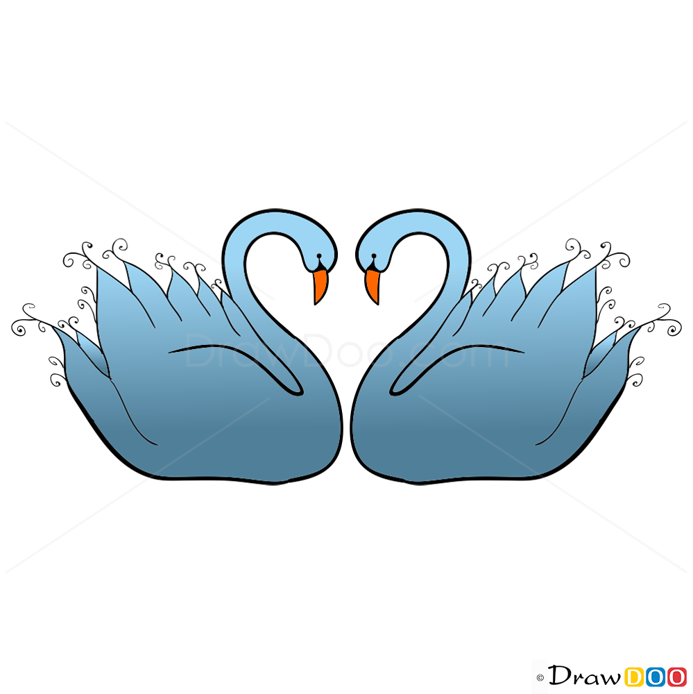 999x1000 Swans Heart Shape, Step