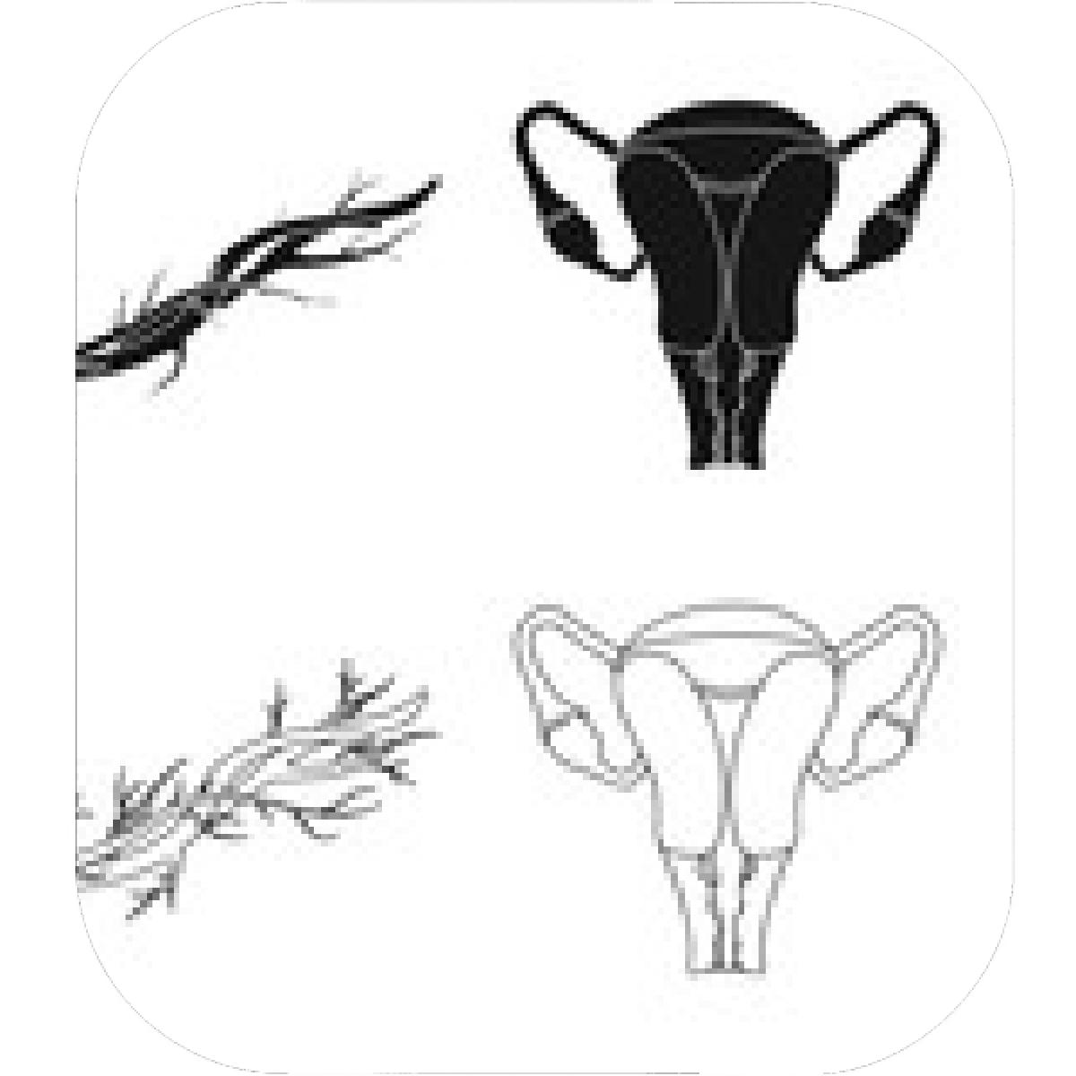 1200x1200 Designs Mein Mousepad Design Mousepad Selbst Designen