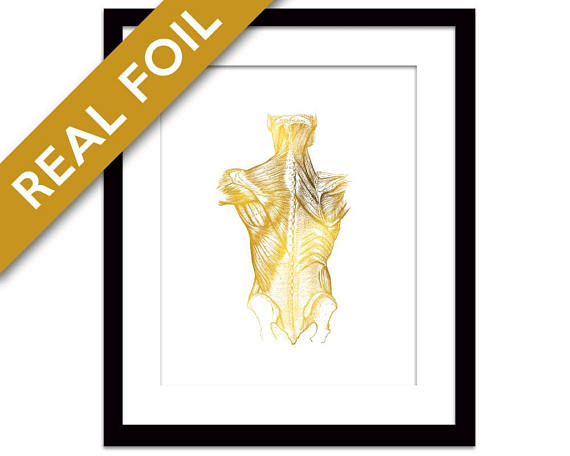 570x456 Human Body Anatomical Gold Foil Art Print