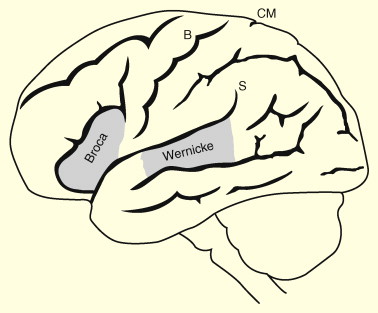 378x313 medical observation