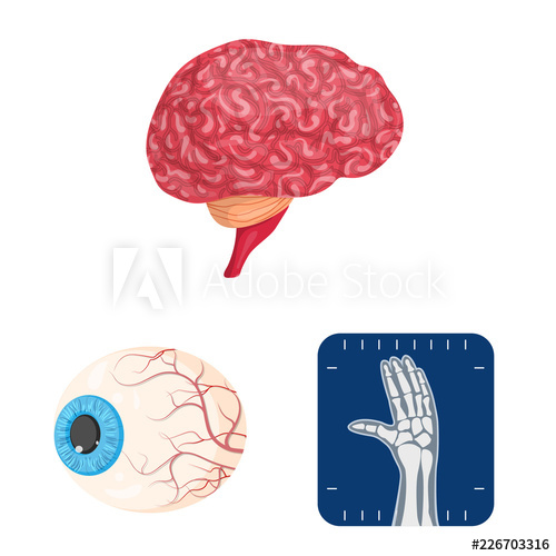 500x500 Vector Illustration Of Body And Human Logo Set Of Body