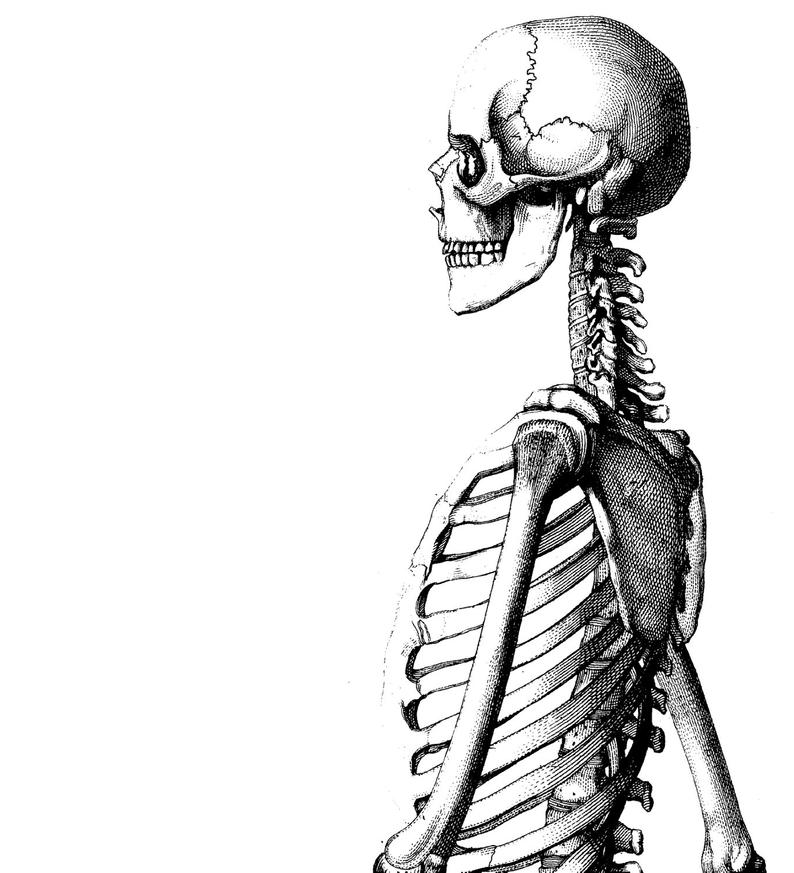 794x873 Body Anatomy Medical Chart Anatomy Etsy