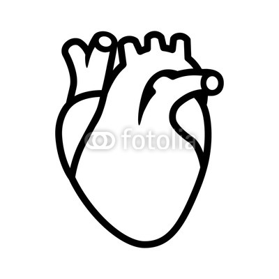 400x400 Human Heart Organ With Aorta And Arteries Line Art Vector Icon