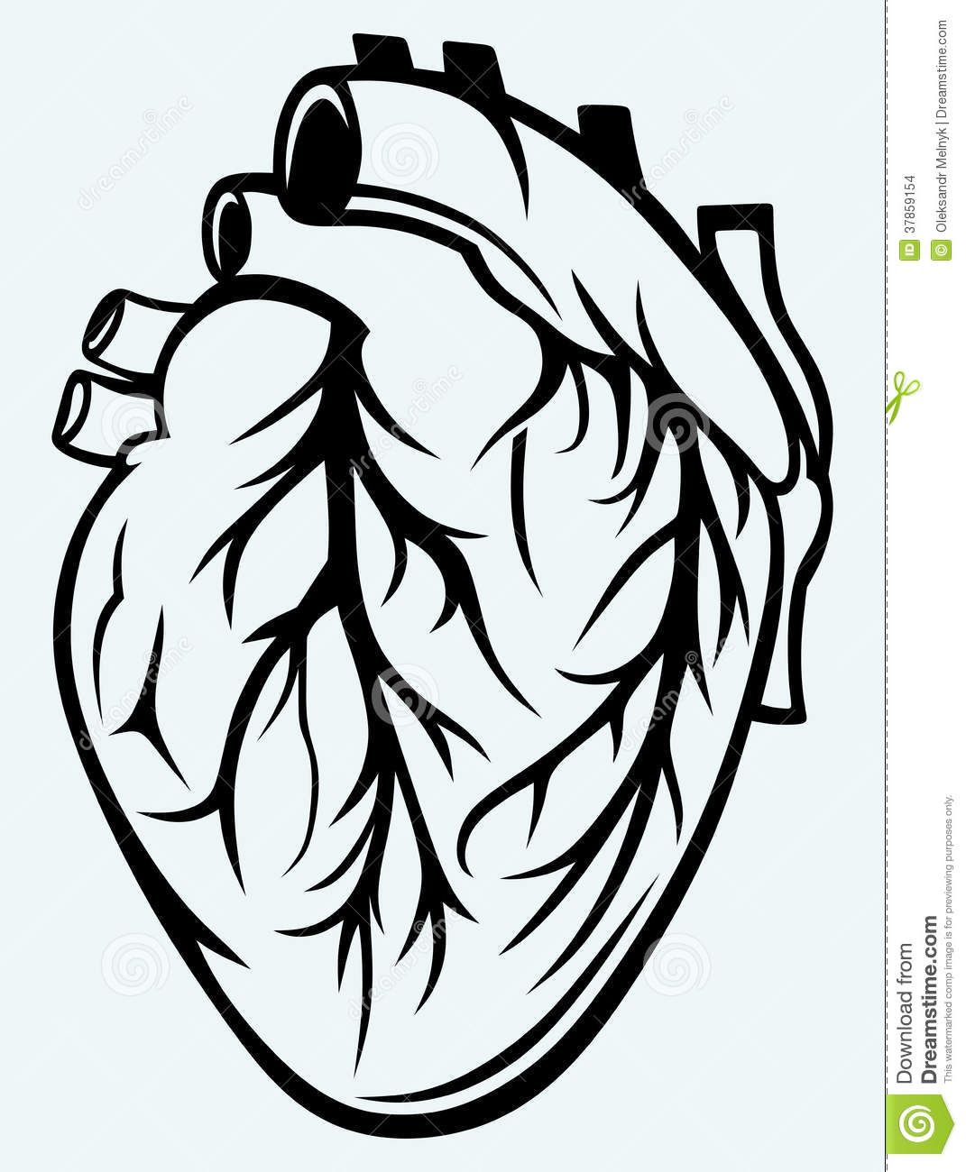 1071x1300 Medical Love Art, Heart Illustration