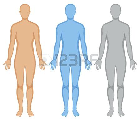 medical human body outline drawing