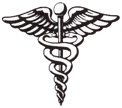 250x221 Nurse Caduceus Tattoo Medical Symbol On Tumblr Stuff I Would