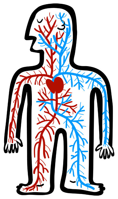 400x674 Cover Story Cardioprotection In Diabetes New Drugs, New