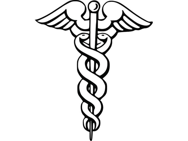 794x597 caduceus snake medical medicine physician health care etsy